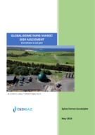 New Report: GLOBAL BIOMETHANE MARKET - 2024 ASSESSMENT + DATABASE